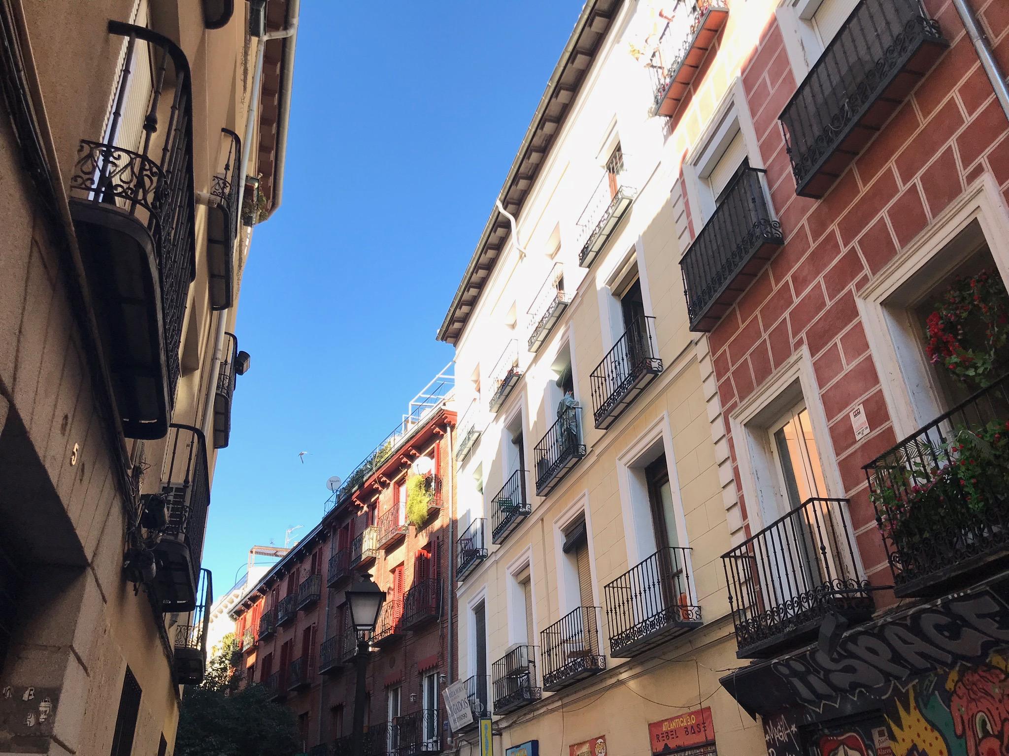 Estrella Gasthuis Madrid